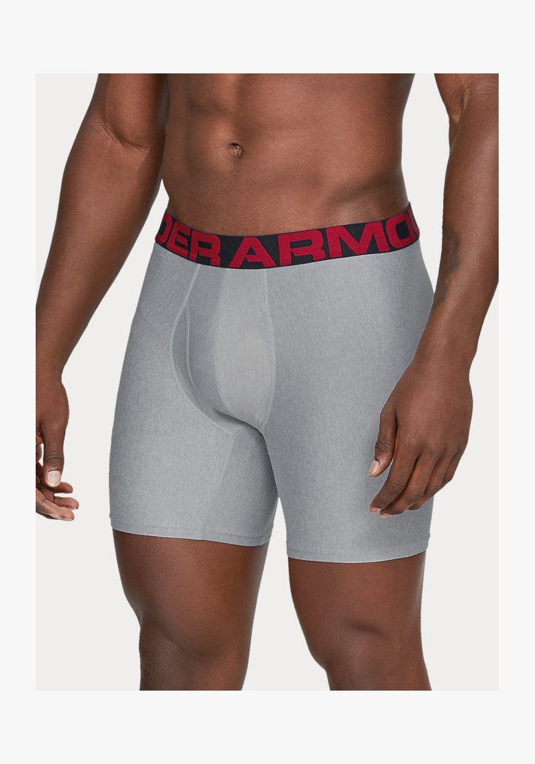 Boxer briefs Under Armour Tech 6In 2 Pack Gray