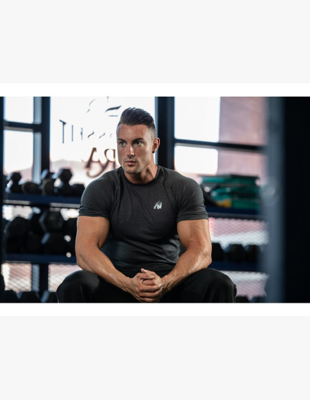 LEWIS T-SHIRT DARK GRAY - Gorilla Wear