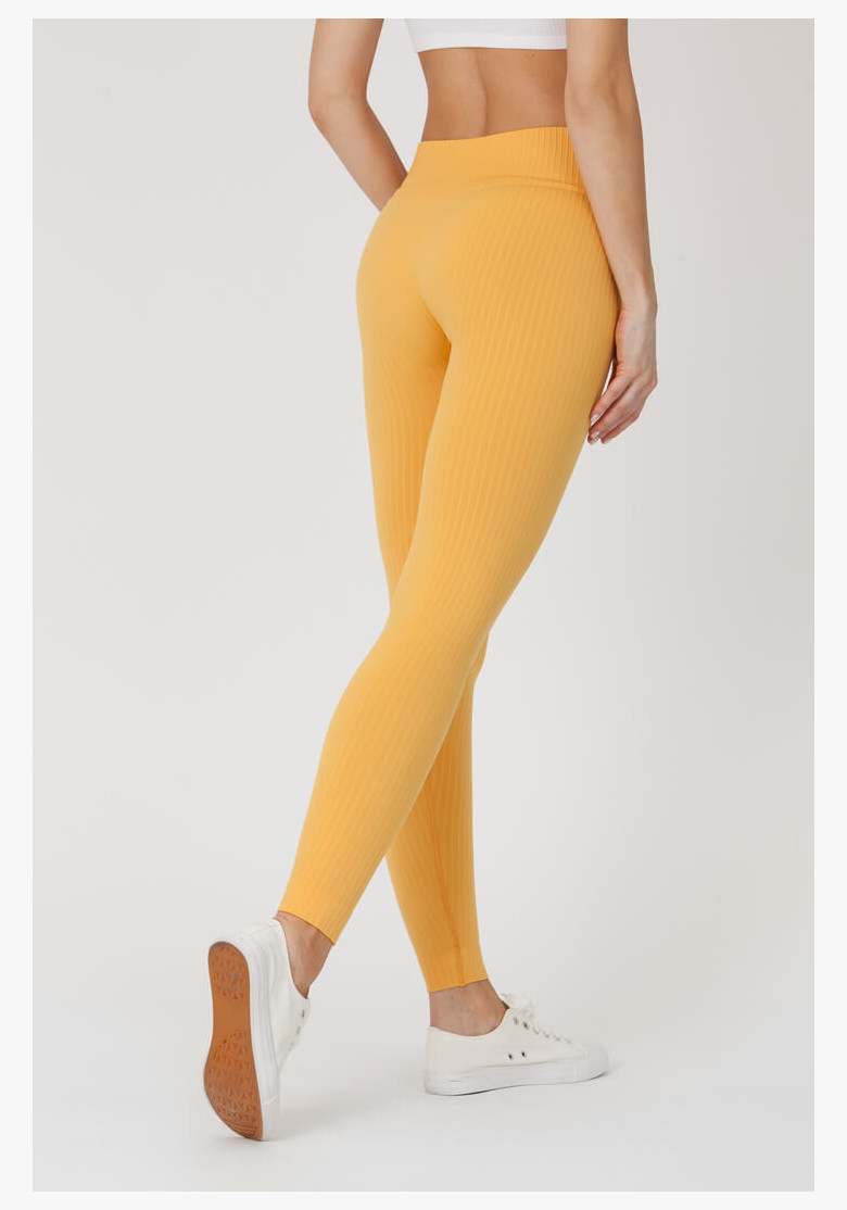 GoldBee BeSeamless Ribs BeesWax Leggings
