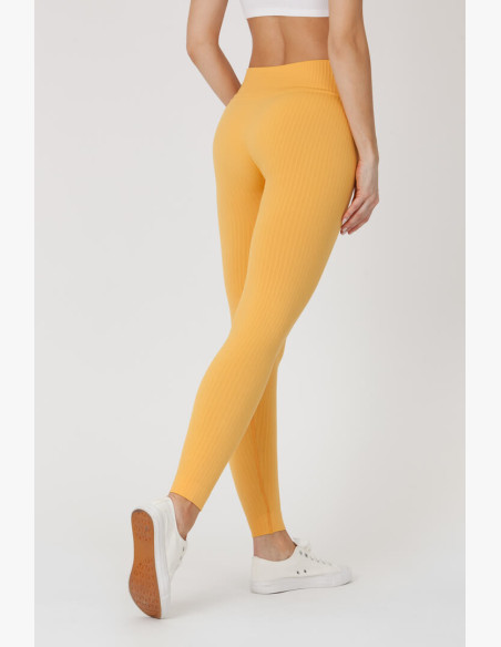 GoldBee BeSeamless Ribs BeesWax Leggings